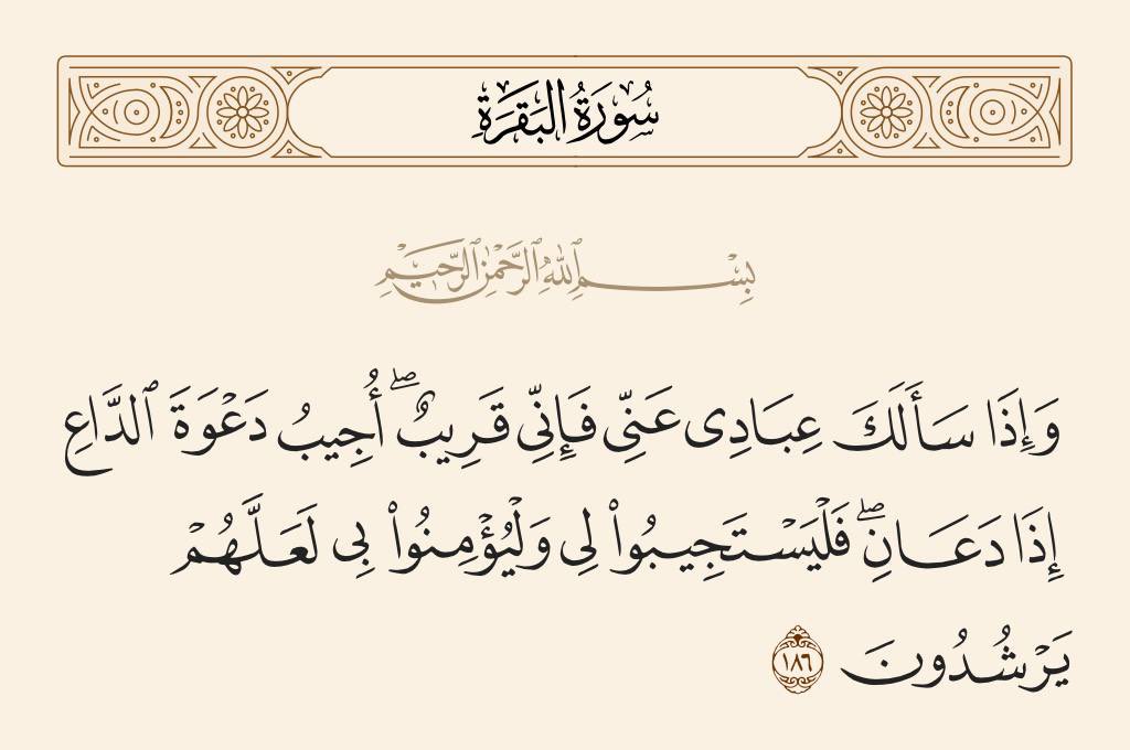 فَهَدْ السـعد tweet media