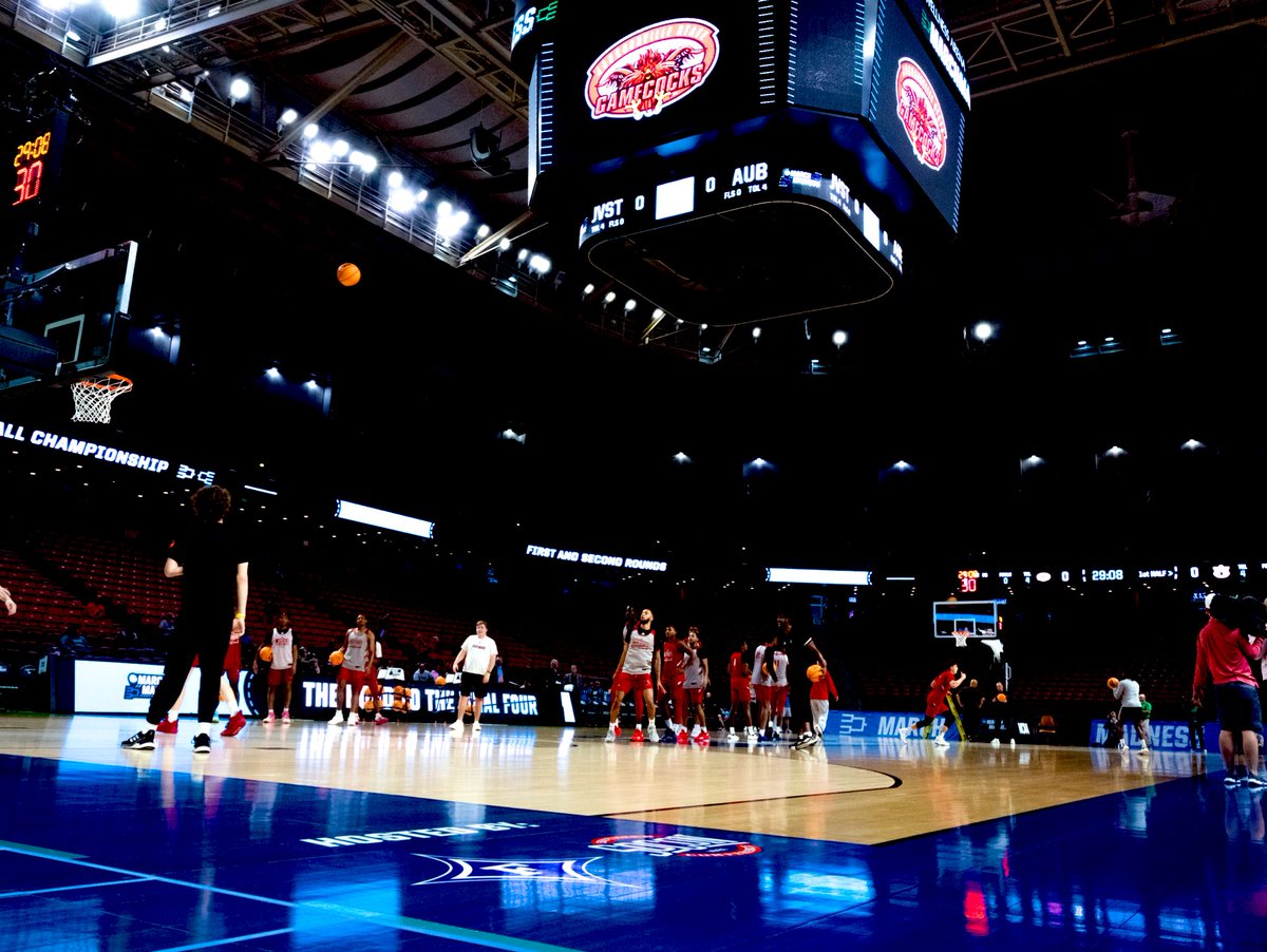 𝗗𝗮𝗻𝗶𝗲𝗹 𝗣𝗼𝗿𝘁𝗲𝗿 tweet media