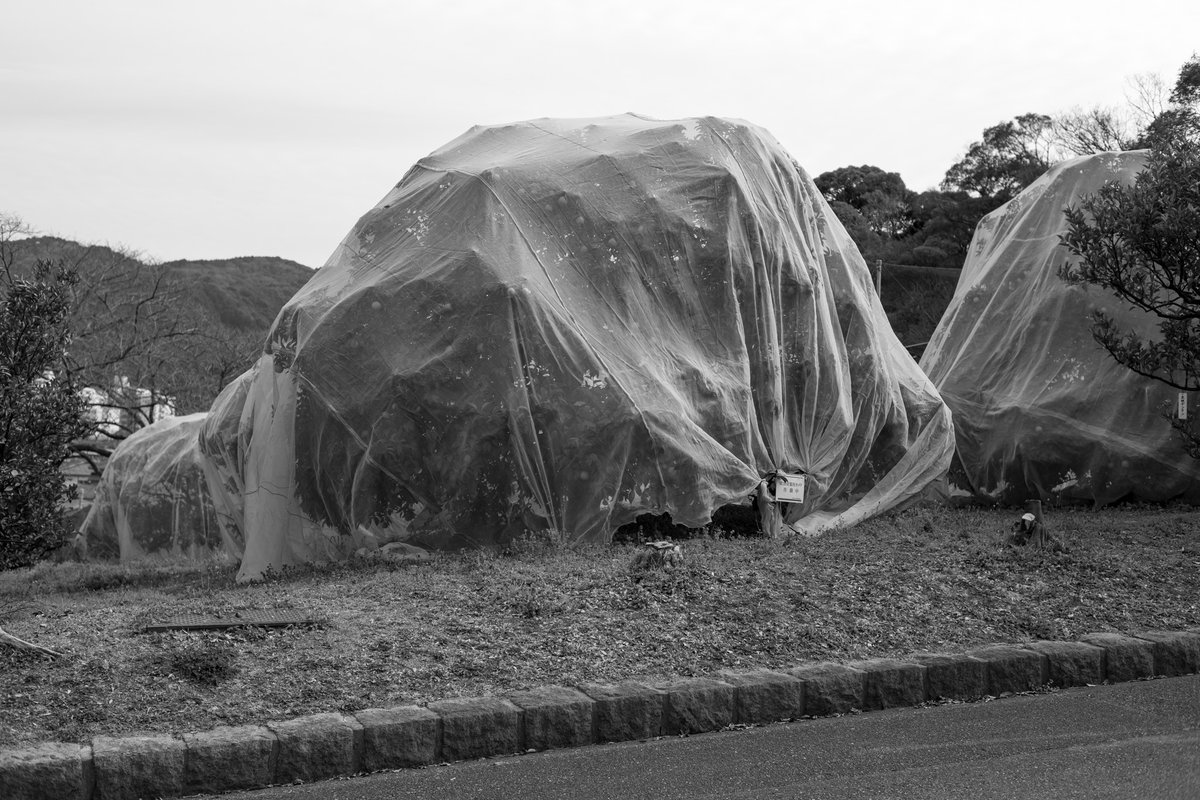 #blackandwhite #blackandwhitephotography #monochrome #bnwphotos