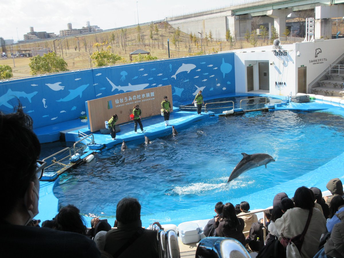 oniyanagi_kc's tweet photo. 3月７日の週末移動研修では　仙台うみの杜水族館へ行ってきました！！
下は小学生から上は祖父母世代まで、幅広い年代が一緒に楽しみました。
参加していただいたみなさんありがとうございました。 https://t.co/aSgjTZ7dHt