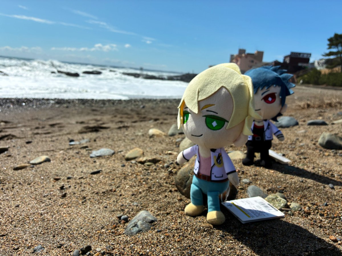 峯岸 功 tweet media