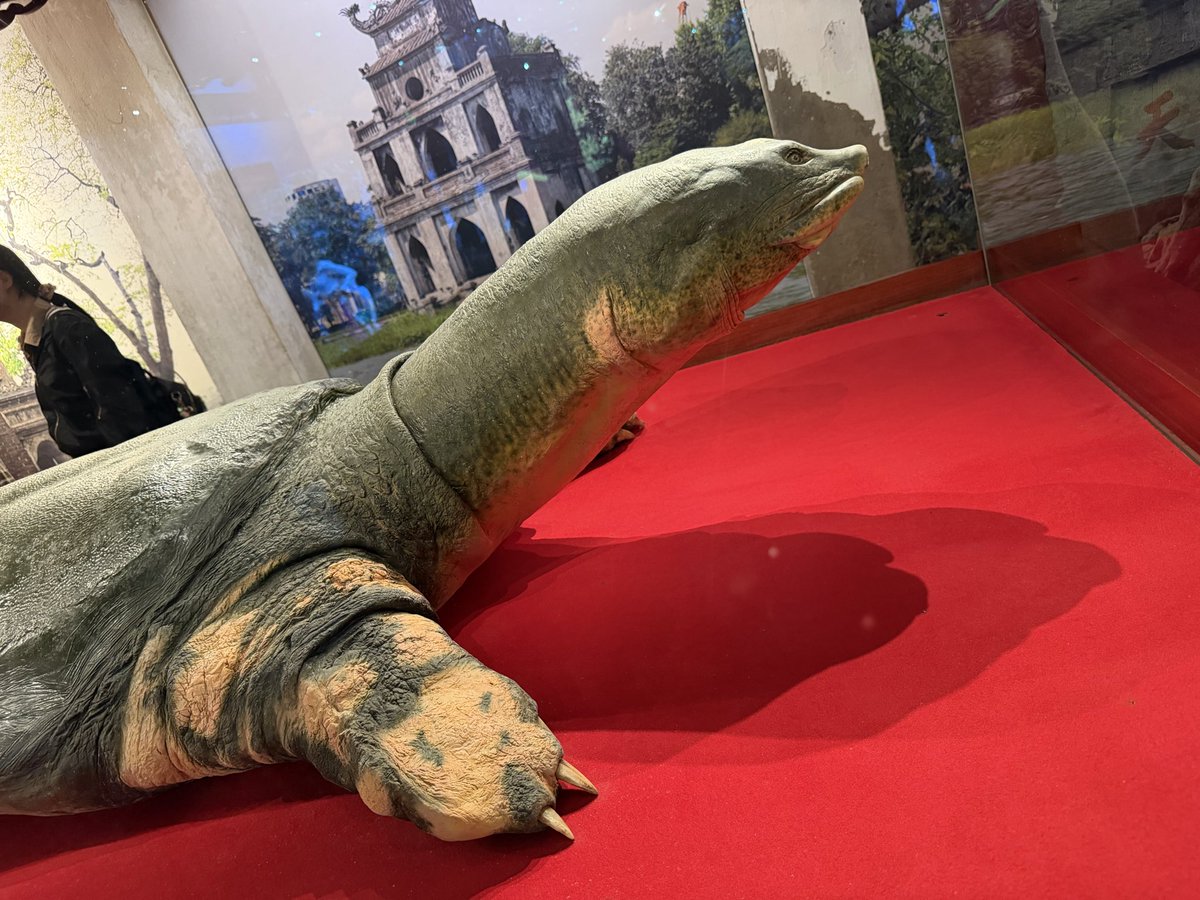 いちまる tweet media