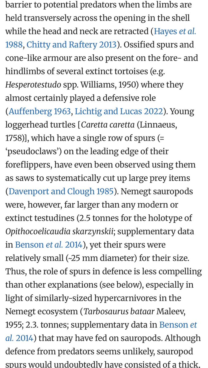 Ausarchosaur tweet media