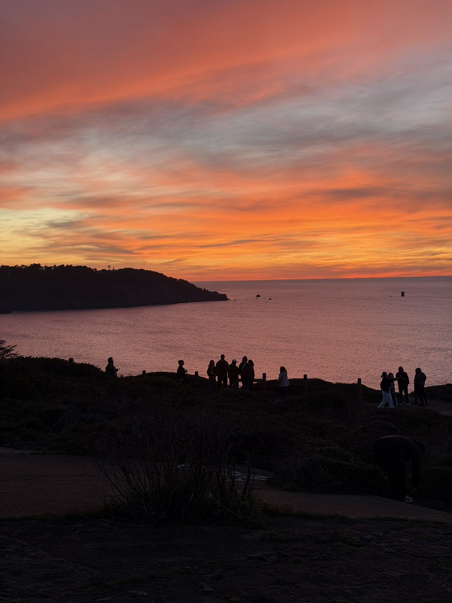 Sathira 🐉 tweet media