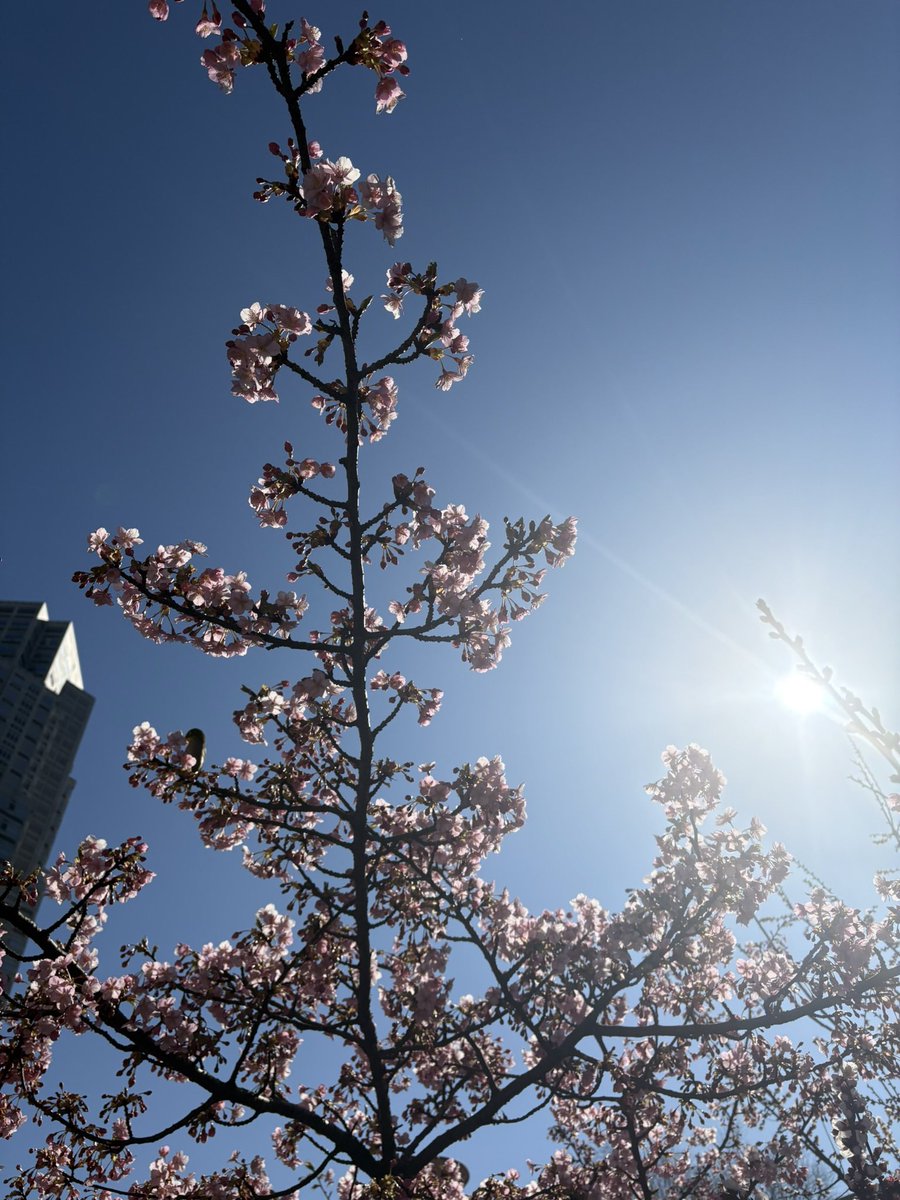 イーグル・タカ tweet media