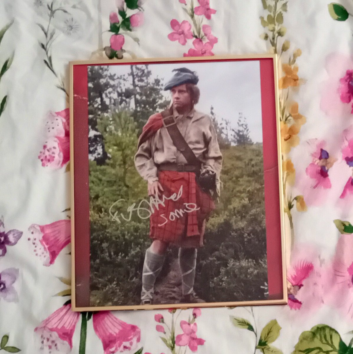 Wanda 💋 is recovering from surgery!! tweet media