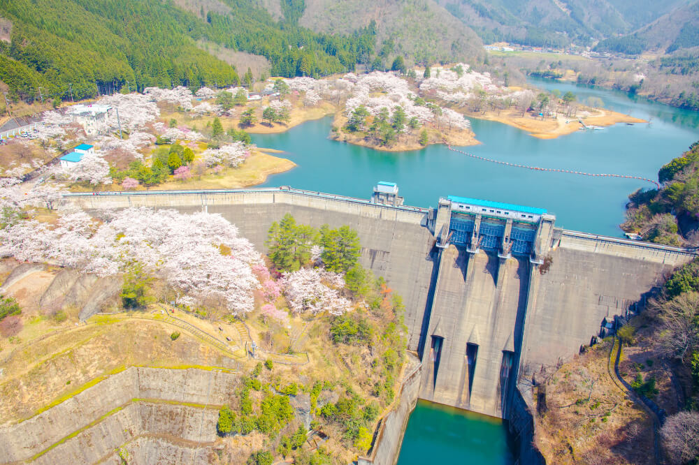 京都府広報課 tweet media