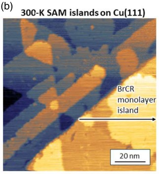 応用物理学会 tweet media