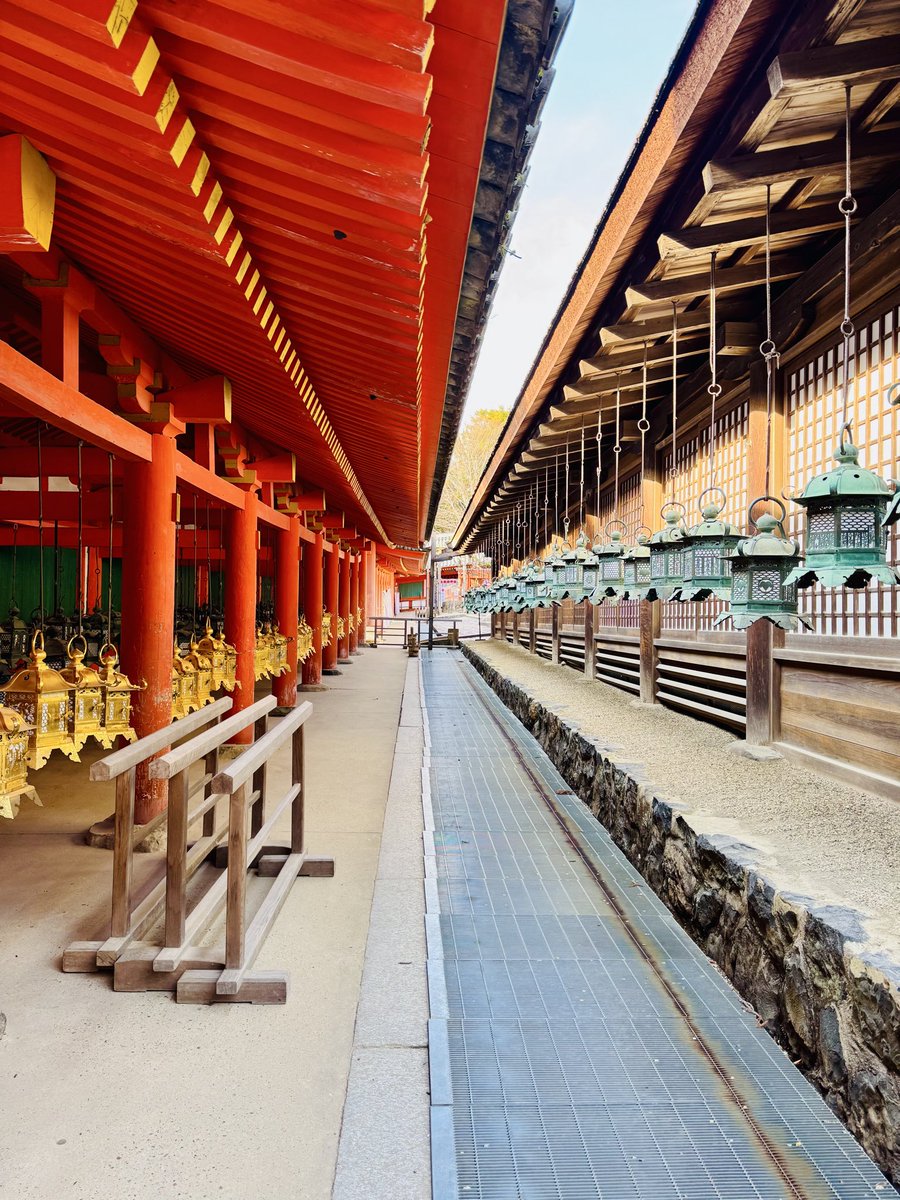 SharadBishnoi05's tweet image. Colours !! 

Kasugataisha Shrine ⛩️

#Photography #sharbishclicks #pic #travel #culture #shotoniphone 📱 🇯🇵