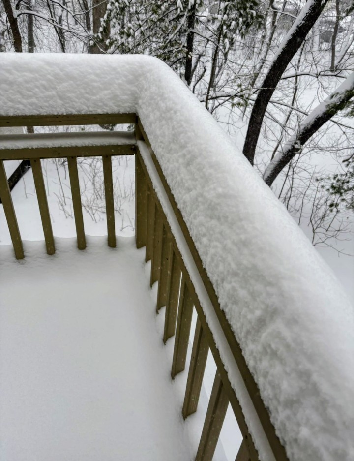 Rochelle Beck🌷 tweet media