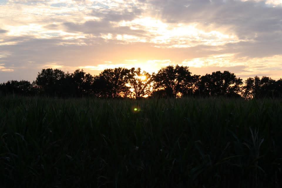 Ms. LuvyK tweet media