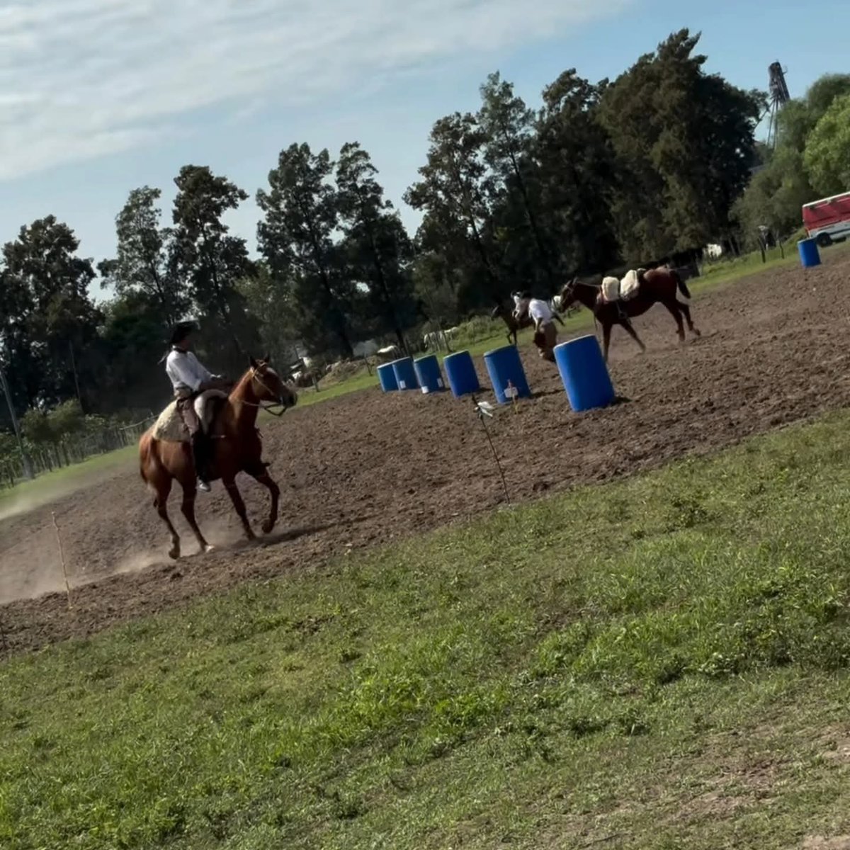 Rodrigo Leandro Borla tweet media