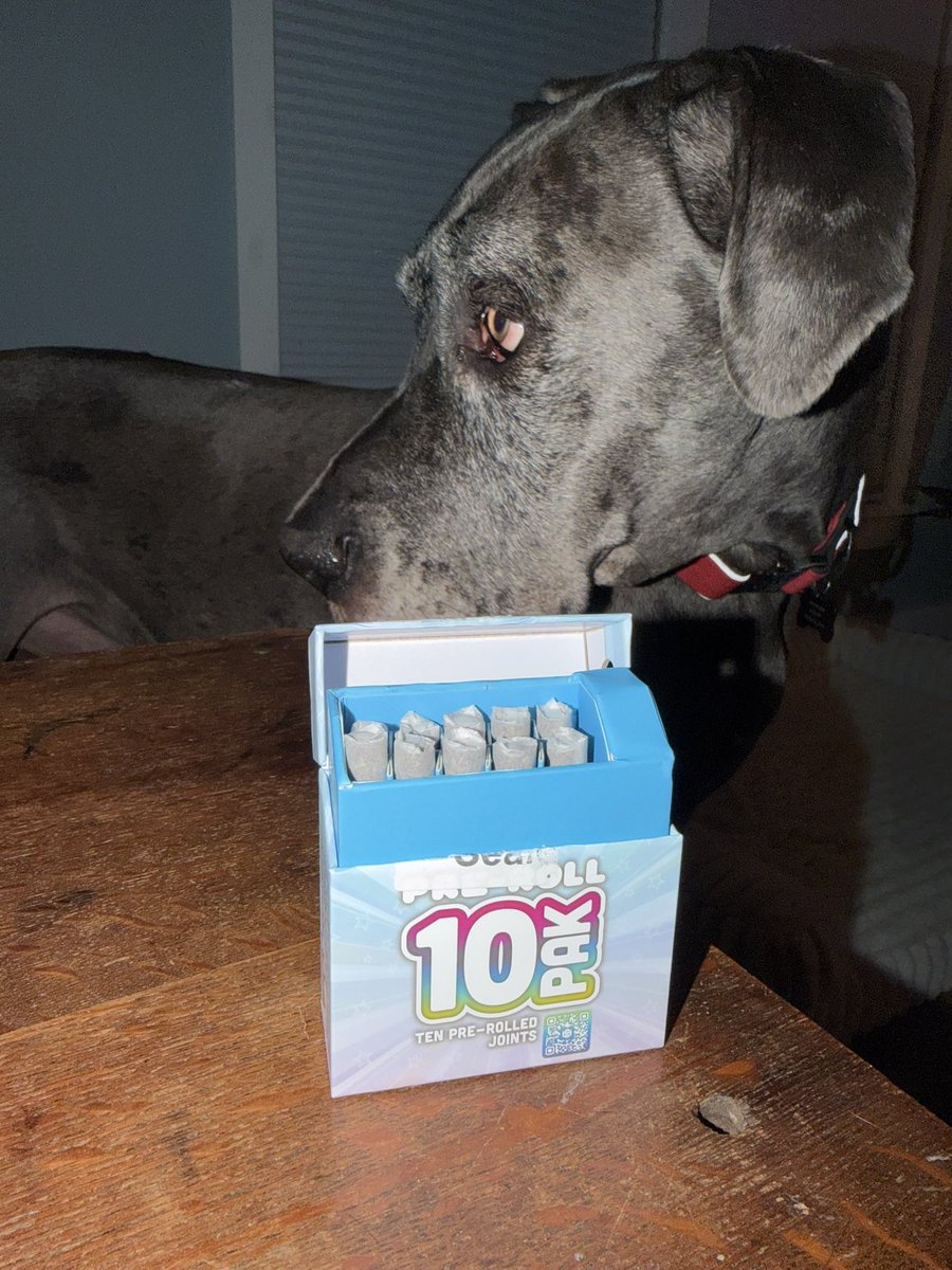 Patriot 🇺🇸 tweet media