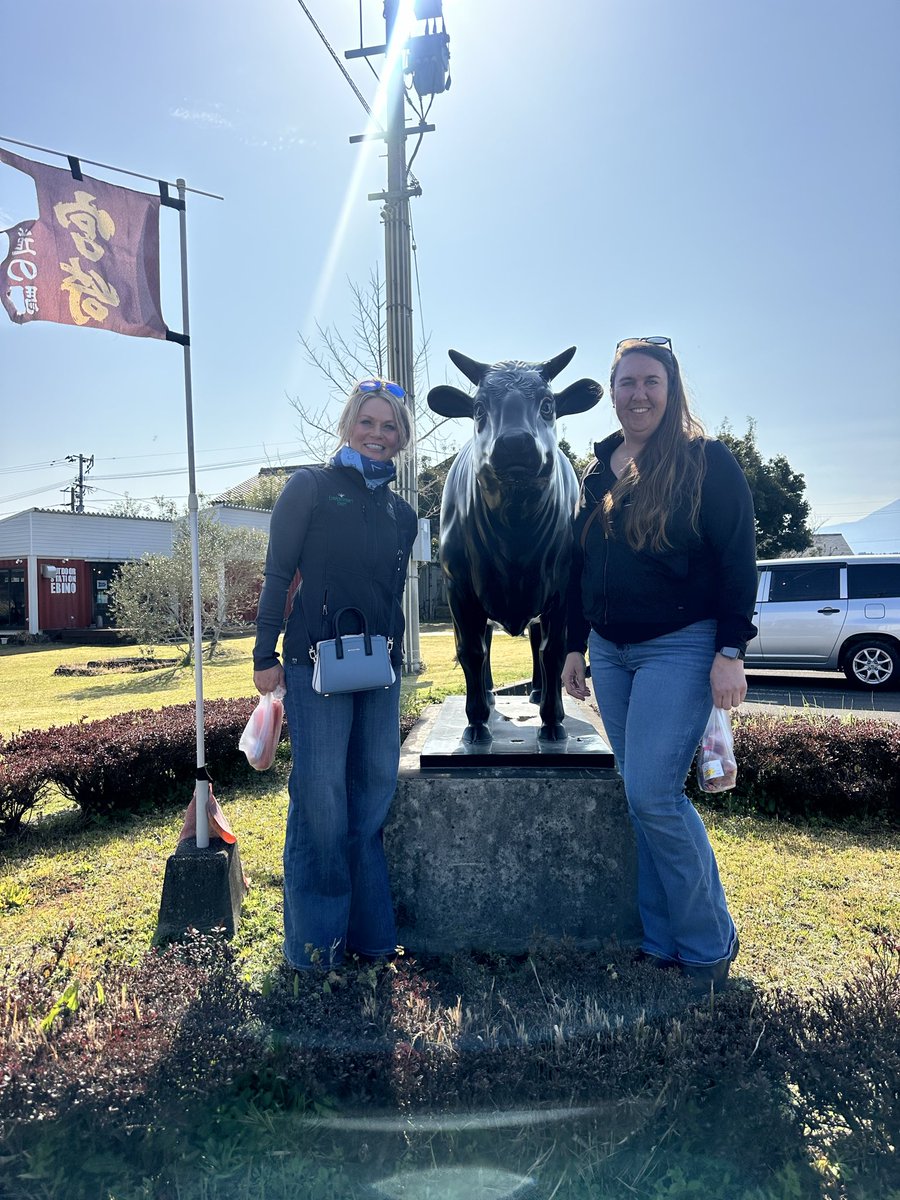 jaclyn wilson tweet media