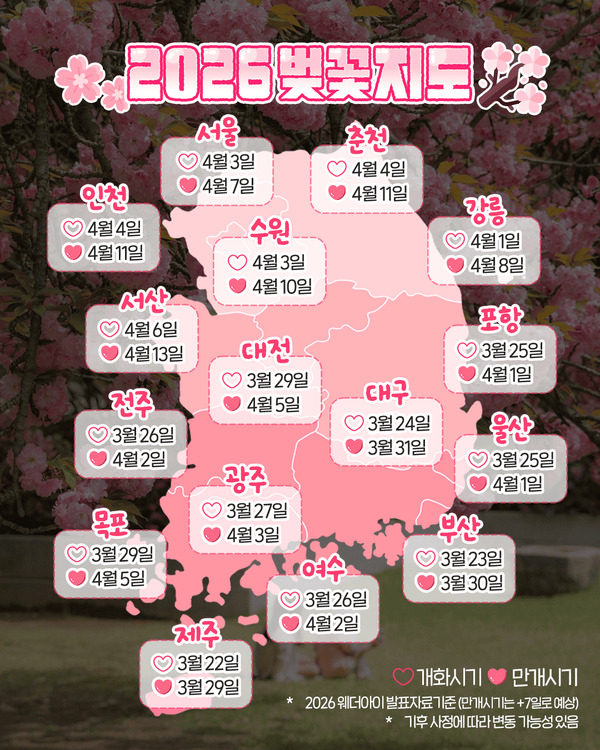 핫플소식계 tweet media