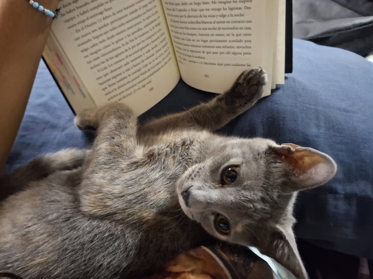 mi compañerita de lectura <33