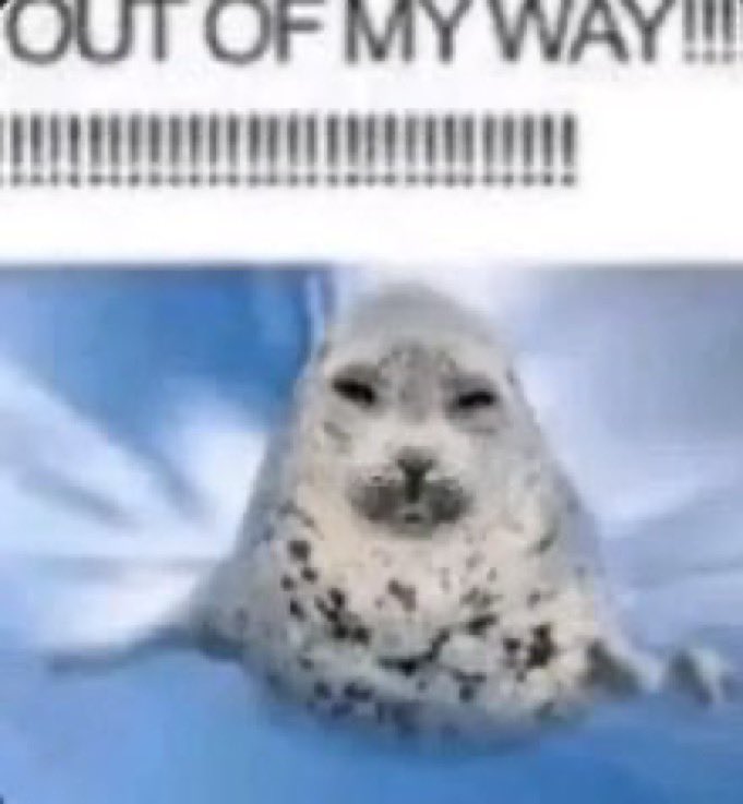 Not Luke tweet media