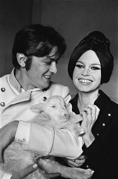 DepressedBergman tweet media