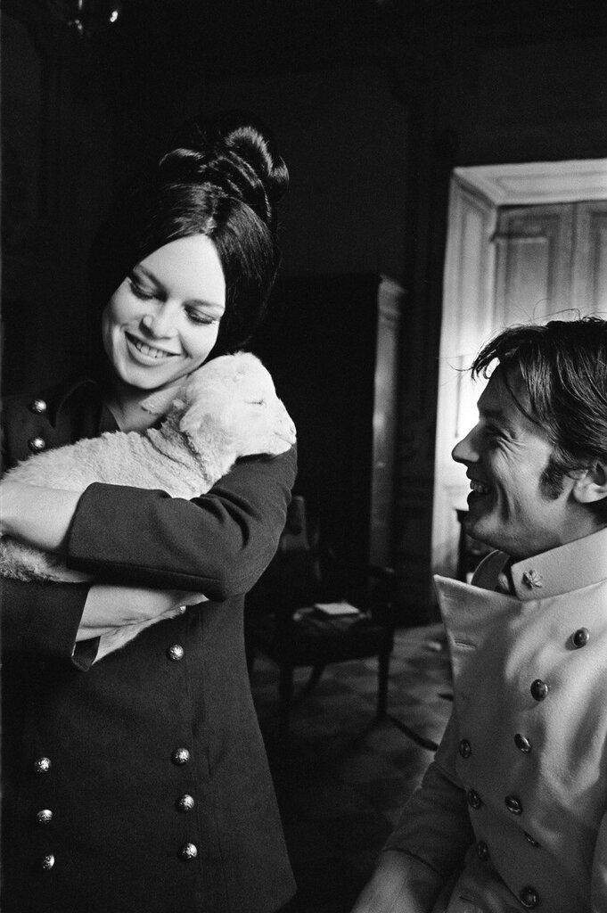 DepressedBergman tweet media