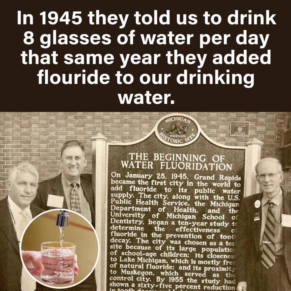 David Wolfe tweet media