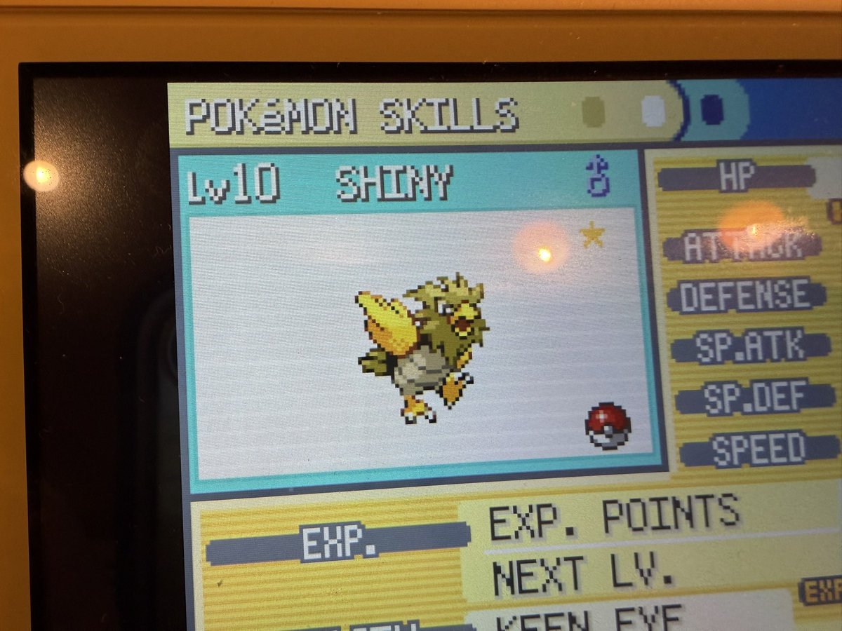 Sue (HermesNinja) ✈️ GO Fest bound! tweet media