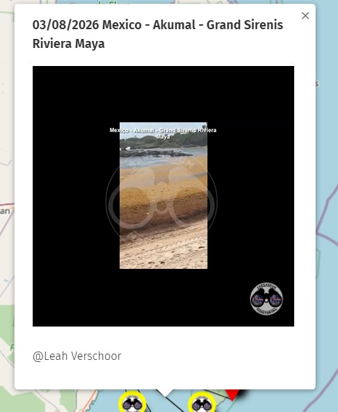 Sargassum Monitoring® tweet media