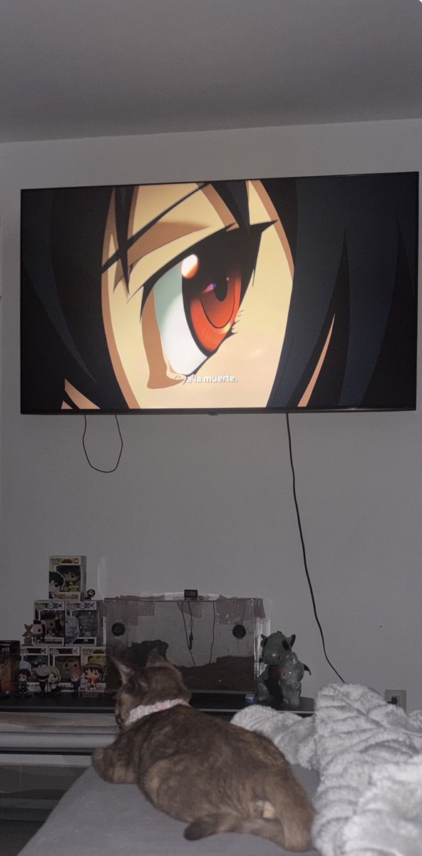 xwCatherineCapuccine tweet media