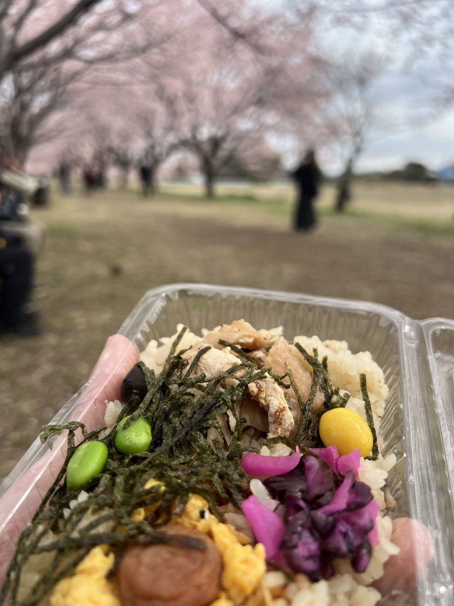 おはようございます！

昨日に比べたら、かなり空いています！
けど、近場の駐車場は満車です。

以上、現場からでした。