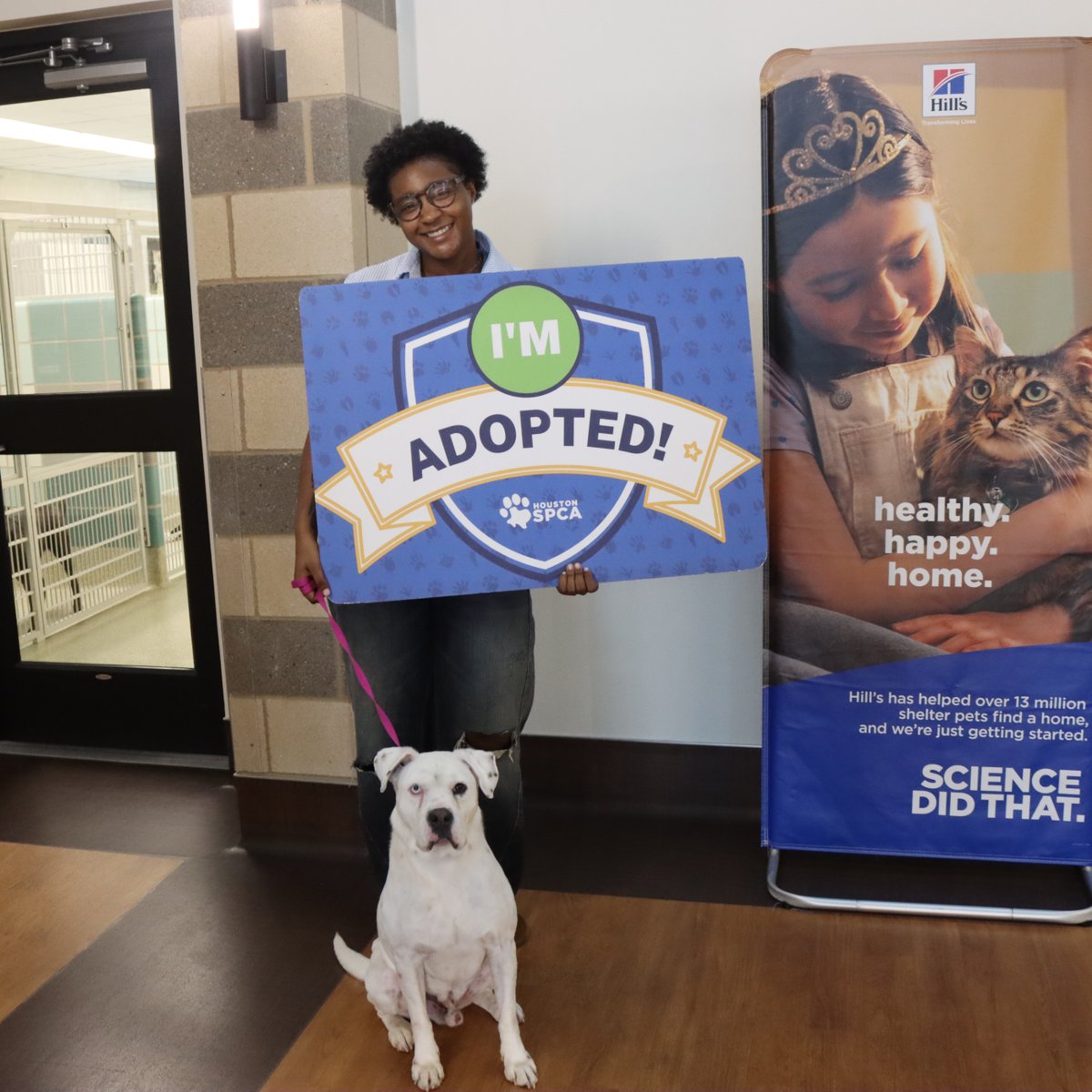 Houston SPCA tweet media