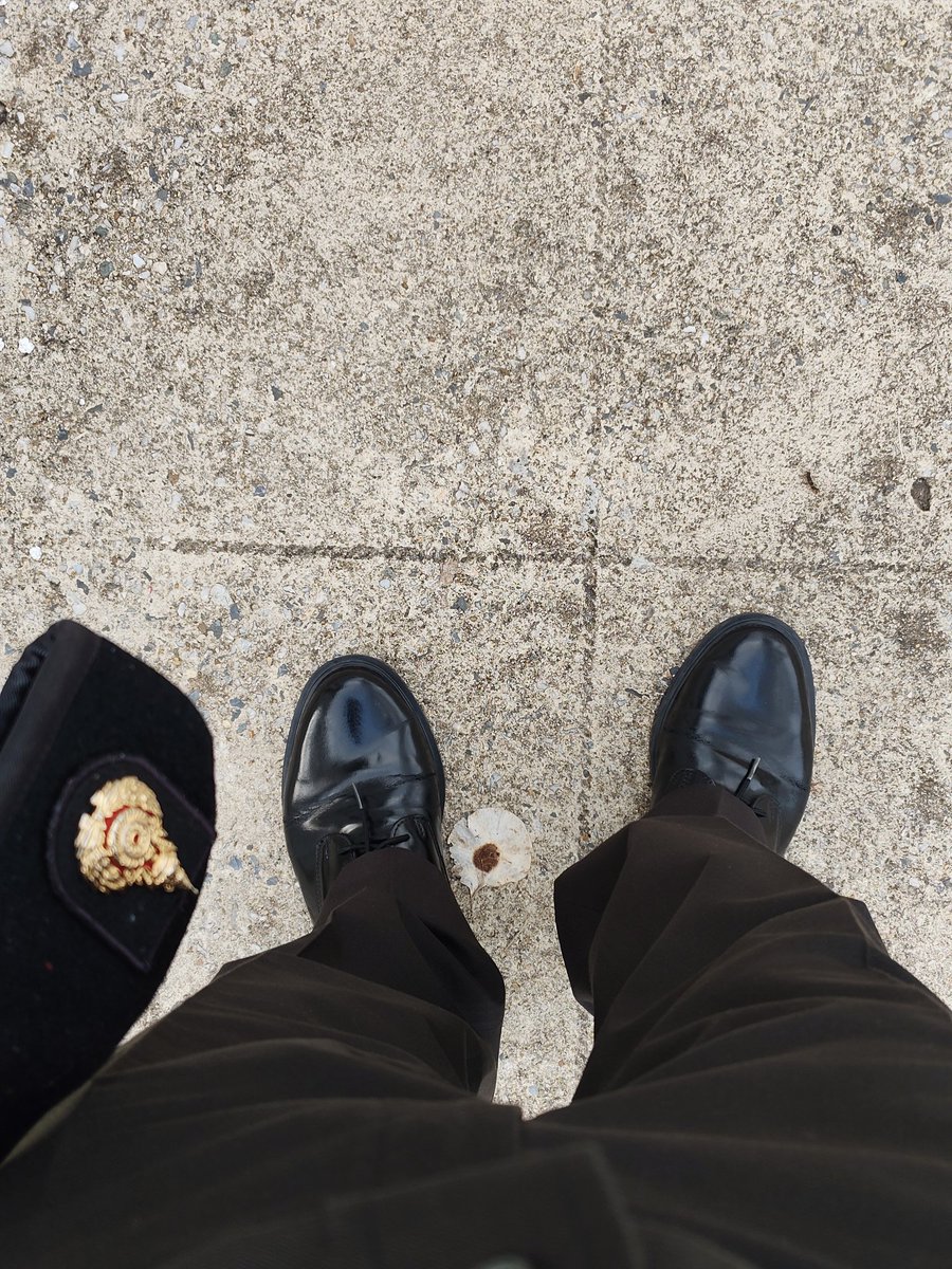 charleeeeen tweet media