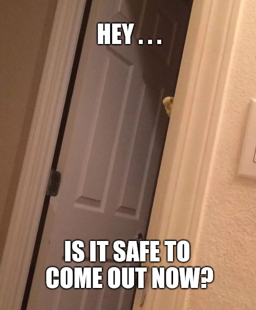 AS Gaming tweet media