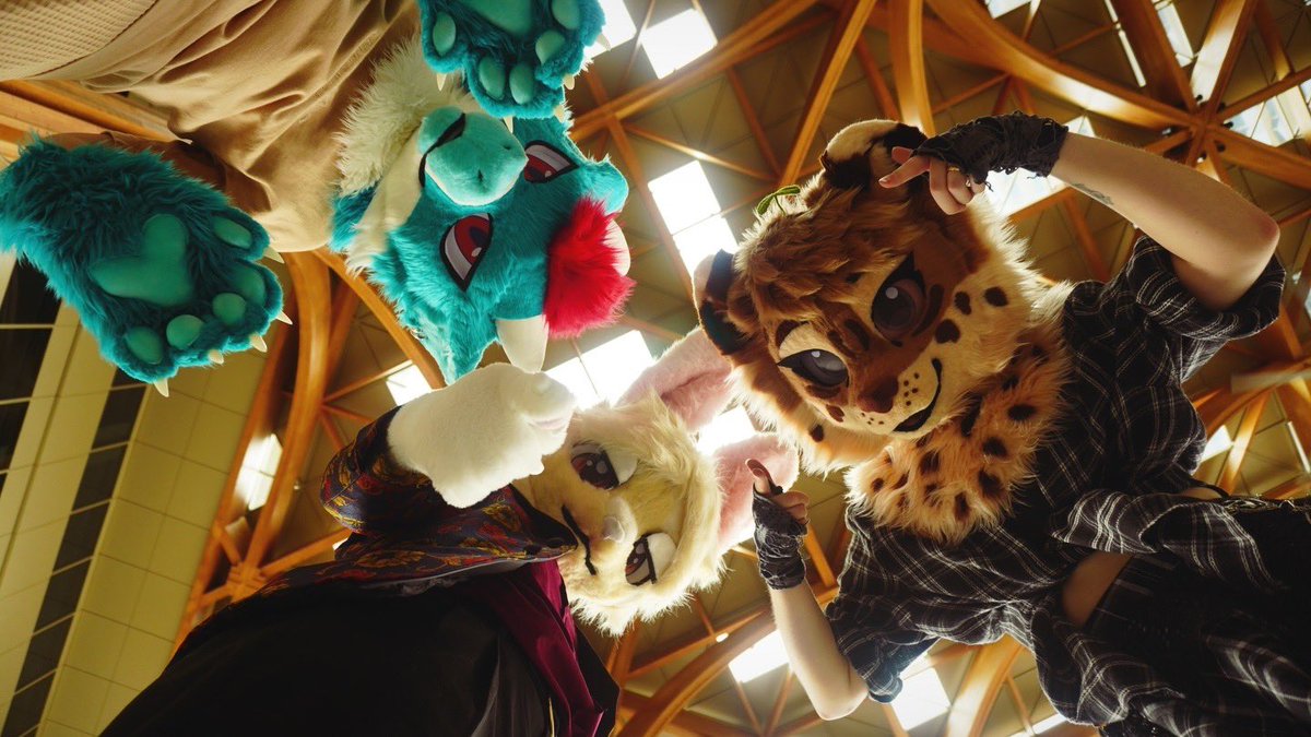 🌿 Amyquel 🔜 LIFC2026 tweet media