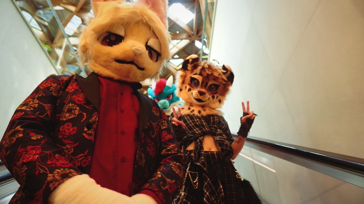 🌿 Amyquel 🔜 LIFC2026 tweet media