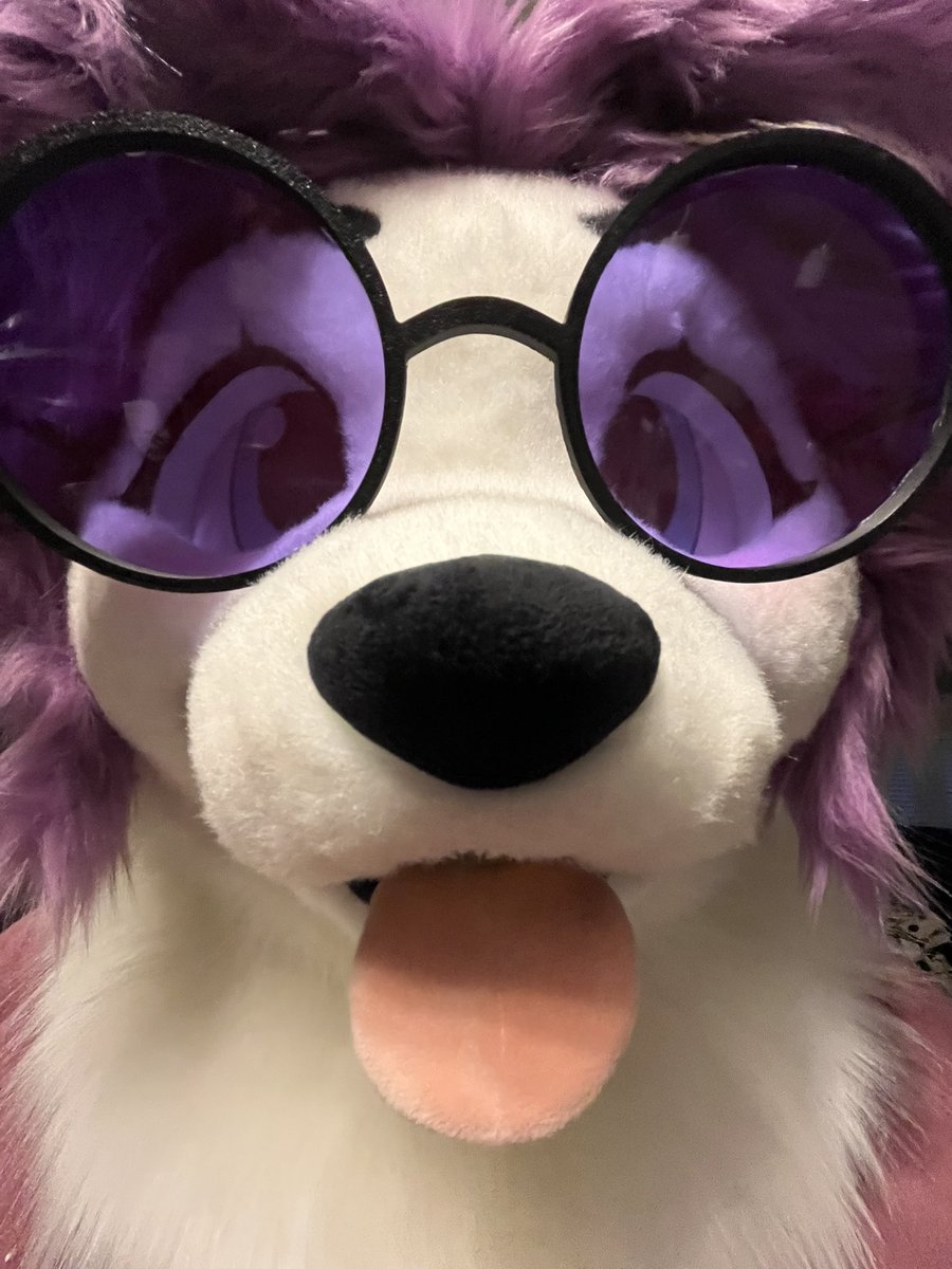 YourFoxDied's tweet photo. The silliness cannot be contained hehehe! I love it. https://t.co/i6EqOjTpnp