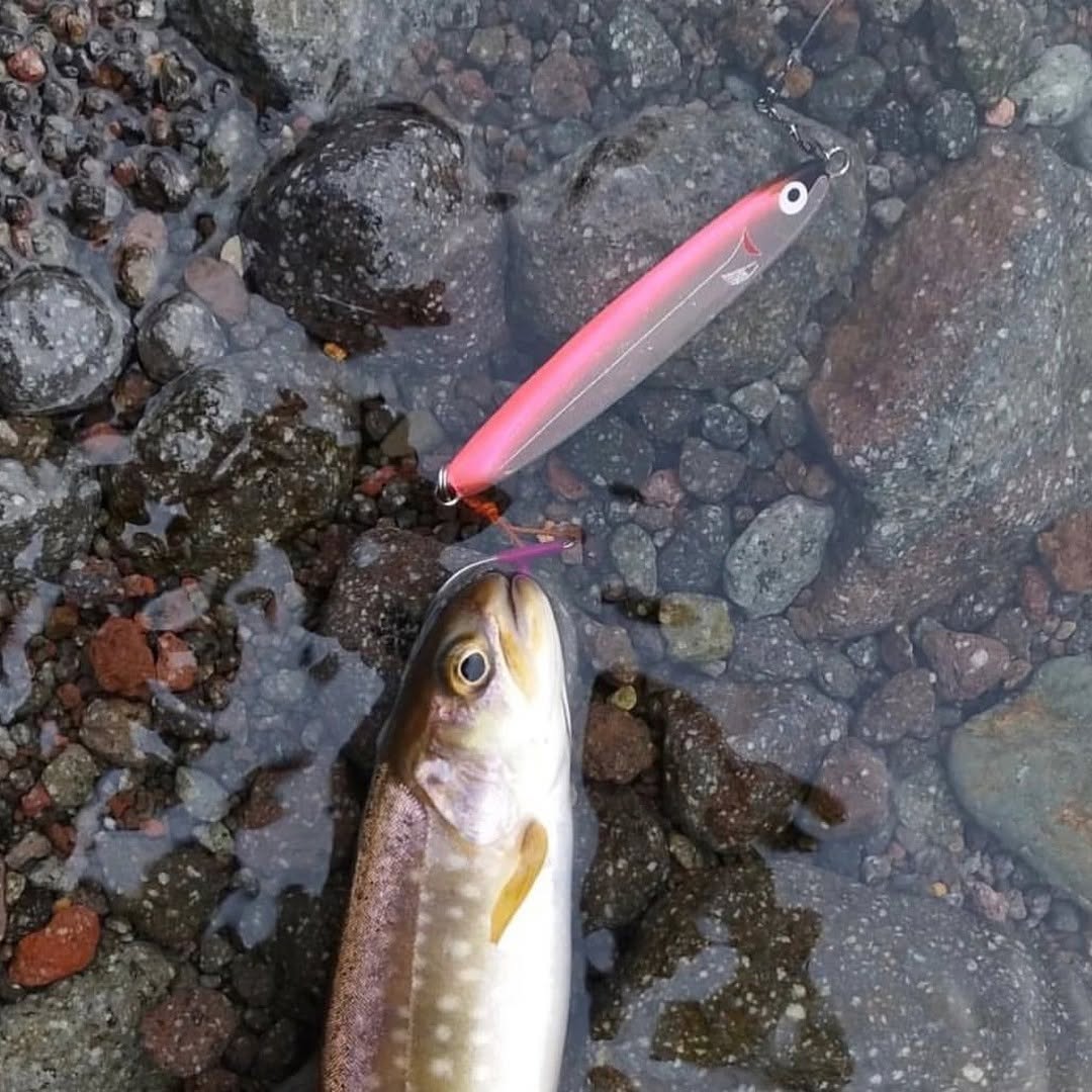 HzRufan's tweet photo. 支笏湖釣り🎣 風向きが変わった！ 支笏湖はホルトに風向きがコロコロ変わりますが #支笏湖 #釣りをする #北海道 #釣り好 https://t.co/76QfITAaAQ