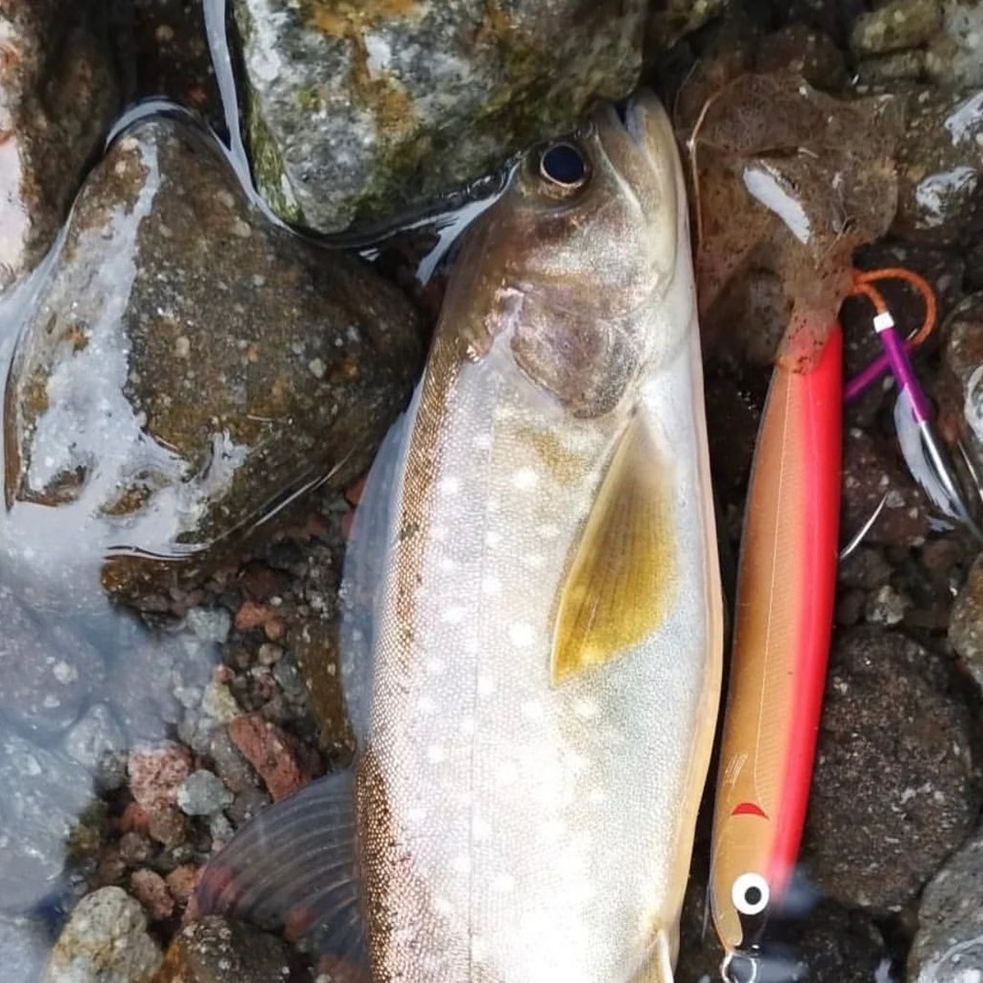 HzRufan's tweet photo. 支笏湖釣り🎣 風向きが変わった！ 支笏湖はホルトに風向きがコロコロ変わりますが #支笏湖 #釣りをする #北海道 #釣り好 https://t.co/76QfITAaAQ