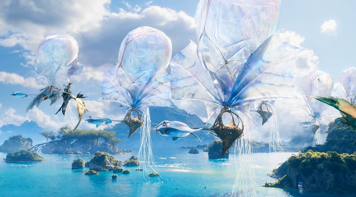 CINEMA 505 tweet media