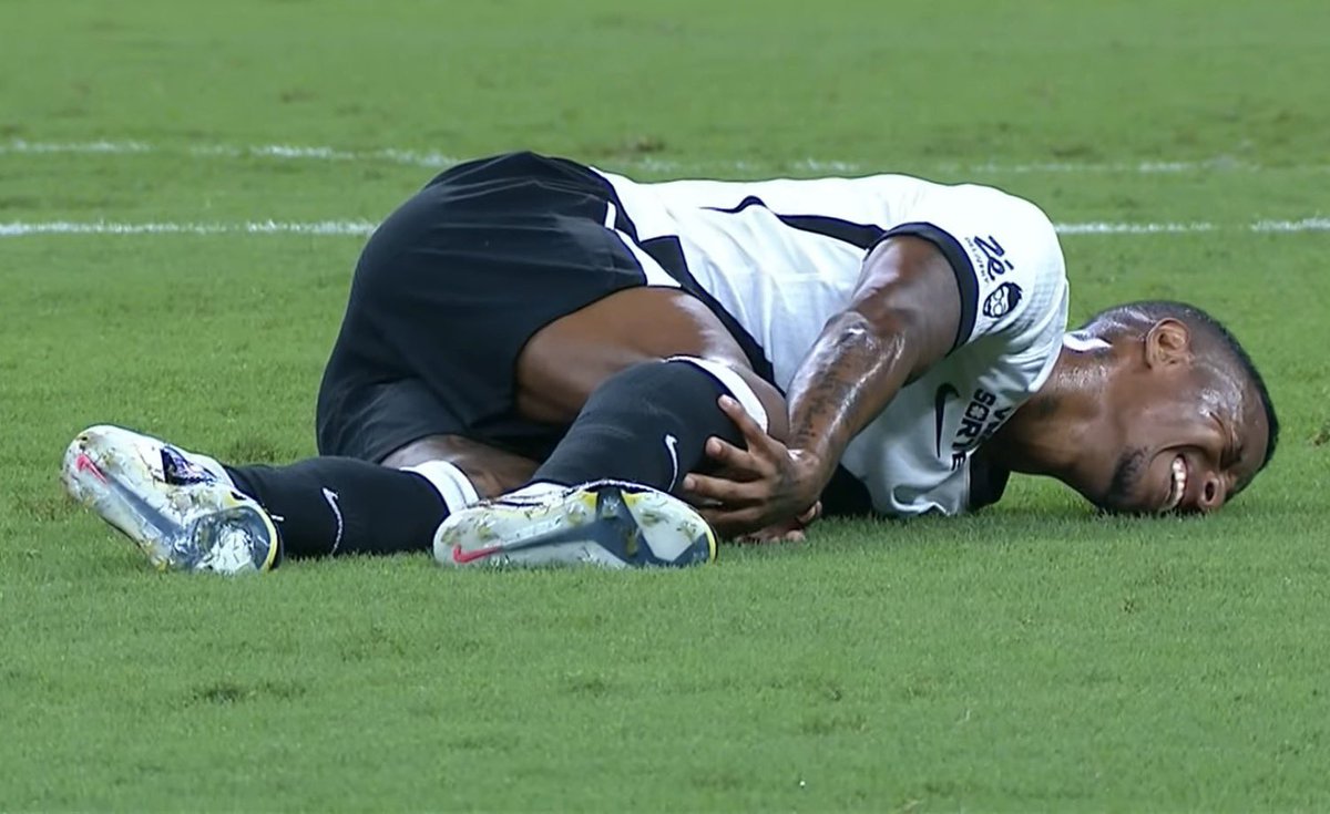 Vini Bernardo tweet media