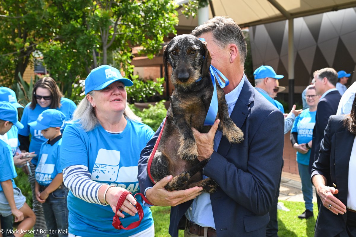 Mark Jesser tweet media