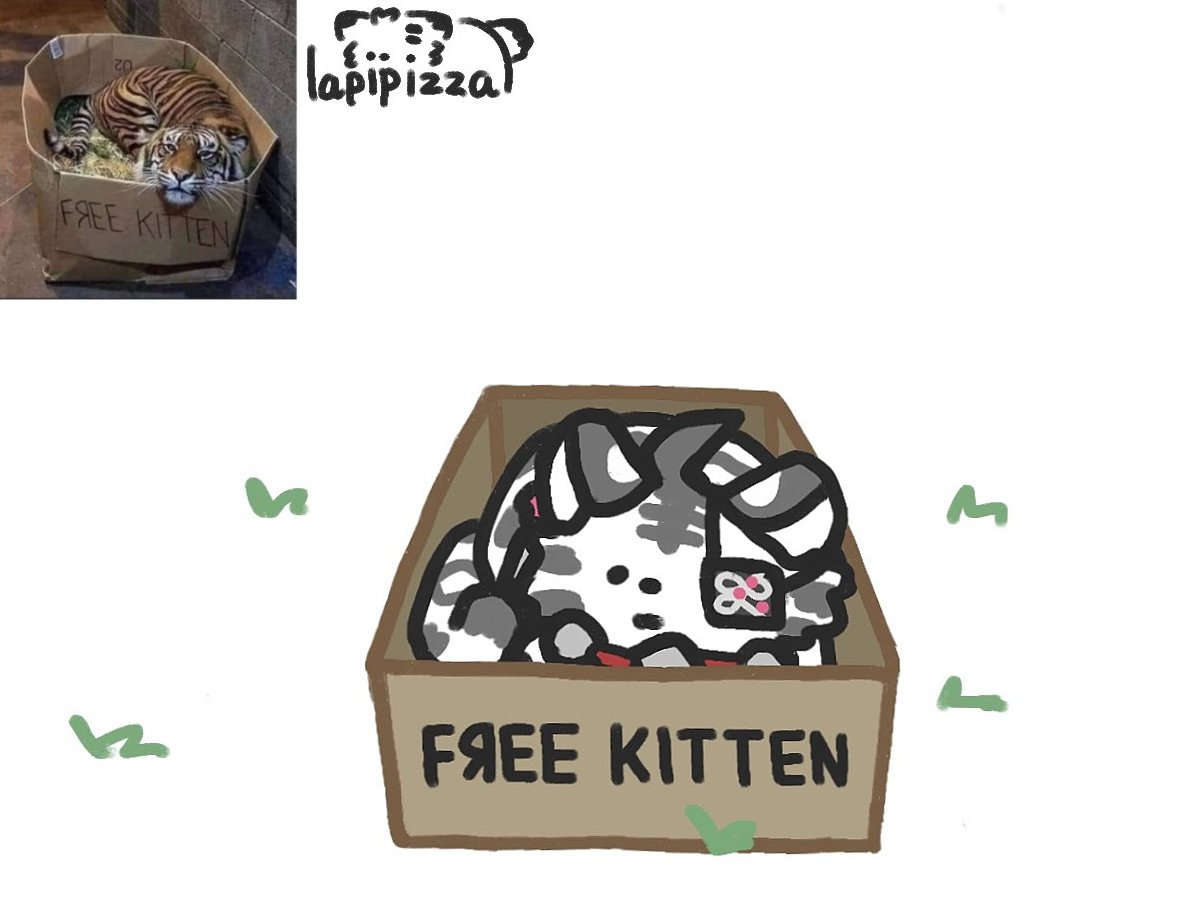 Dr_luyan's tweet photo. 🐯📦 https://t.co/HdwKL7xitL