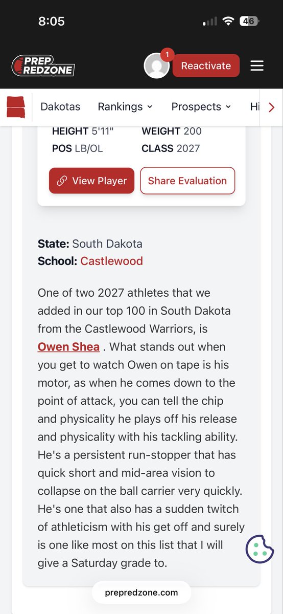 Owen Shea tweet media