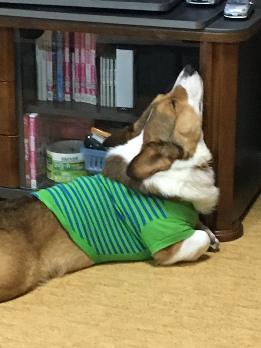 #無言で天使載せたら何RTくるか