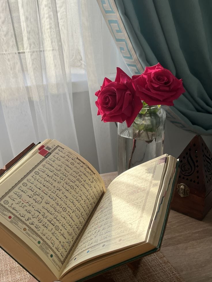 𝓝 𝓢αʅιԋҽҽɳ🙃 tweet media