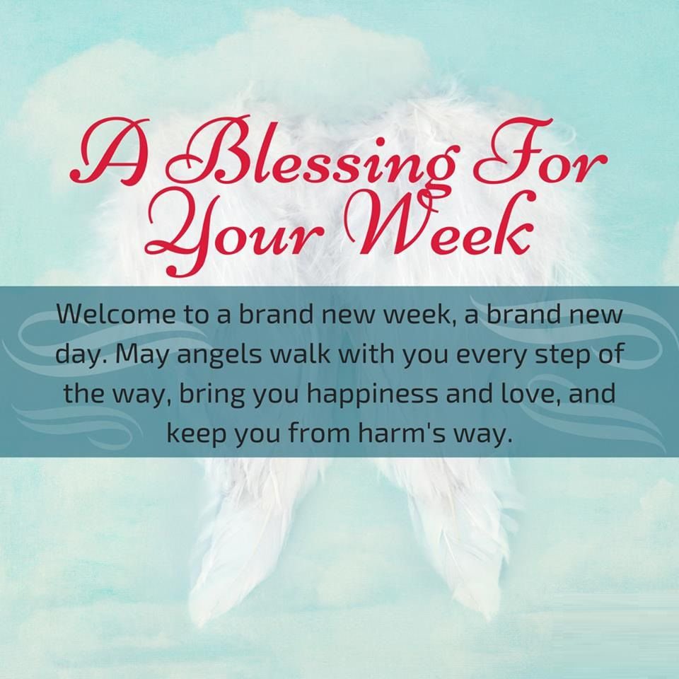 Jeff Hagen tweet media