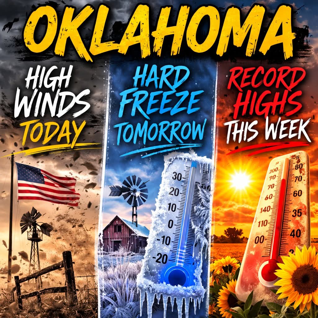 Bryster Hulzini (Hulsey) tweet media