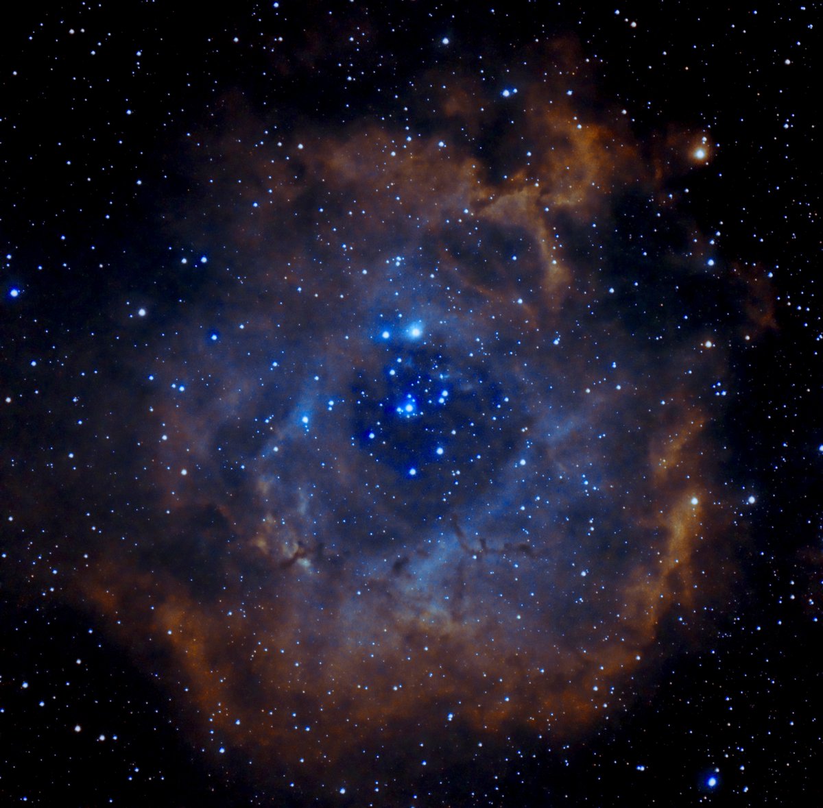 Andy Carroll tweet media