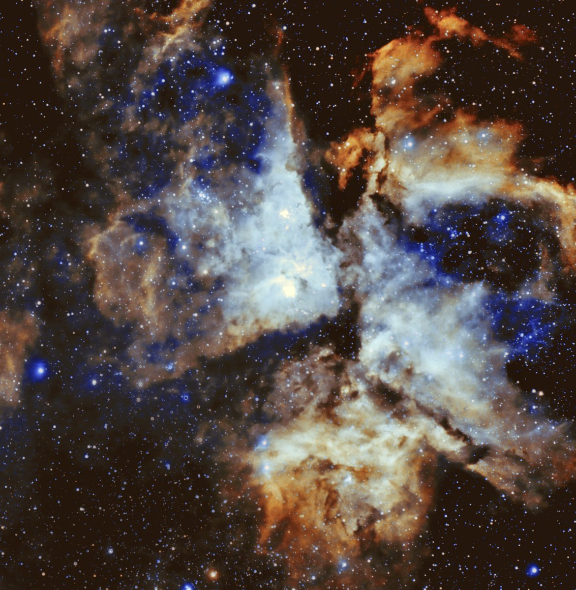 Andy Carroll tweet media