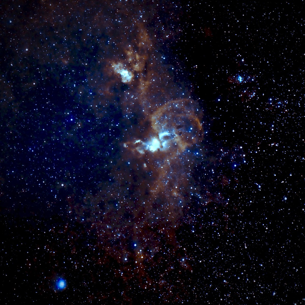 Andy Carroll tweet media