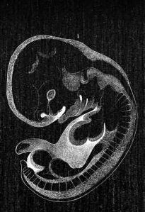 The toast/kuromi of yummytwt 🪻 🍞 tweet media